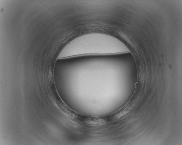 X0000065980459200603030934