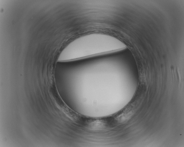 X0000065980460200603030934