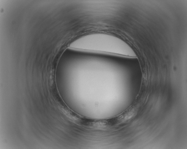 X0000065980462200603030934