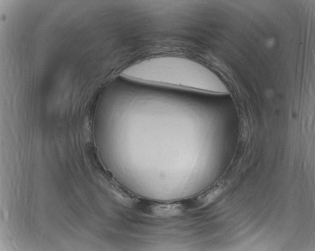 X0000065980465200603030934