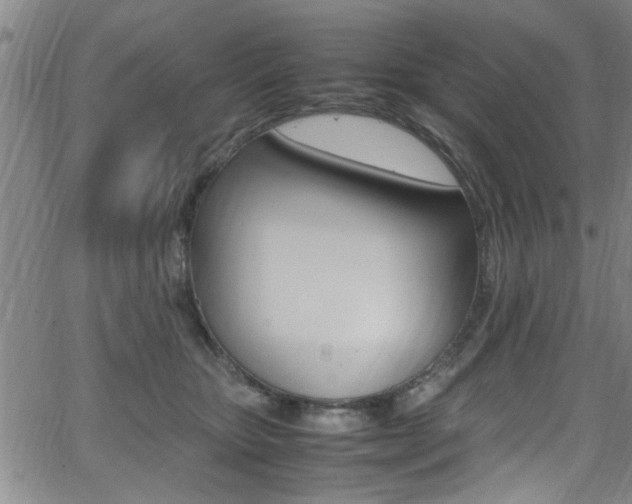 X0000065980467200603030934