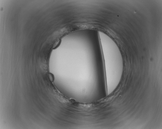 X0000065980469200603030934