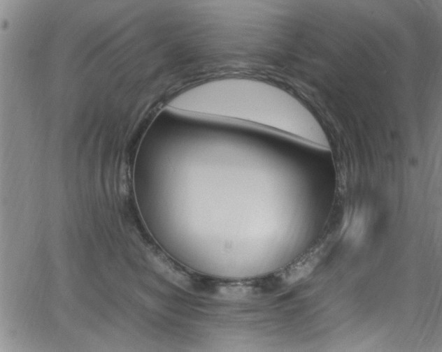 X0000065980470200603030934