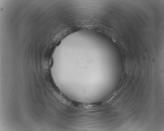 X0000065980472200603030934