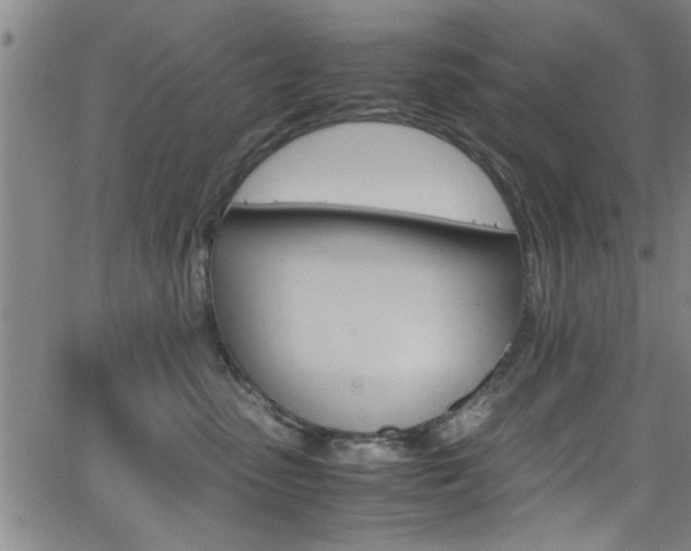 X0000065980475200603030935