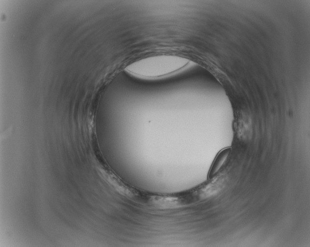 X0000065980476200603030935