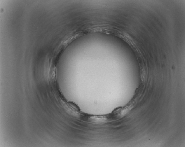 X0000065980477200603030935