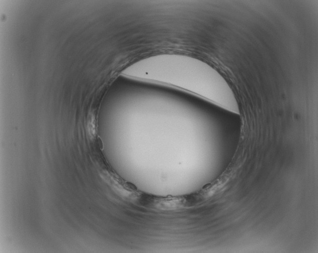 X0000065980479200603030935