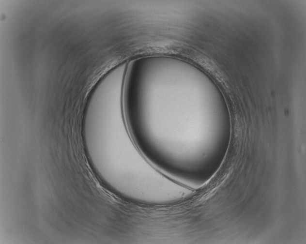 X0000065980481200603030934