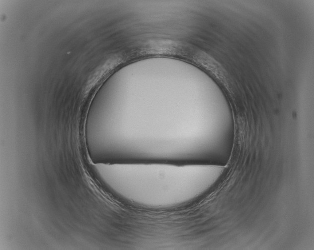 X0000065980482200603030934