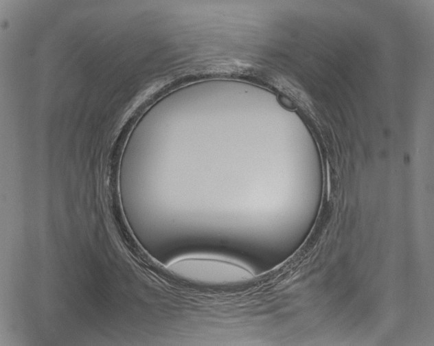 X0000065980483200603030934