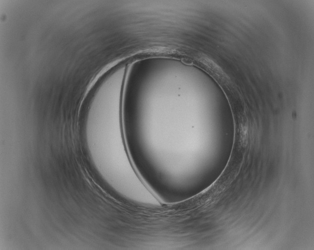 X0000065980484200603030934