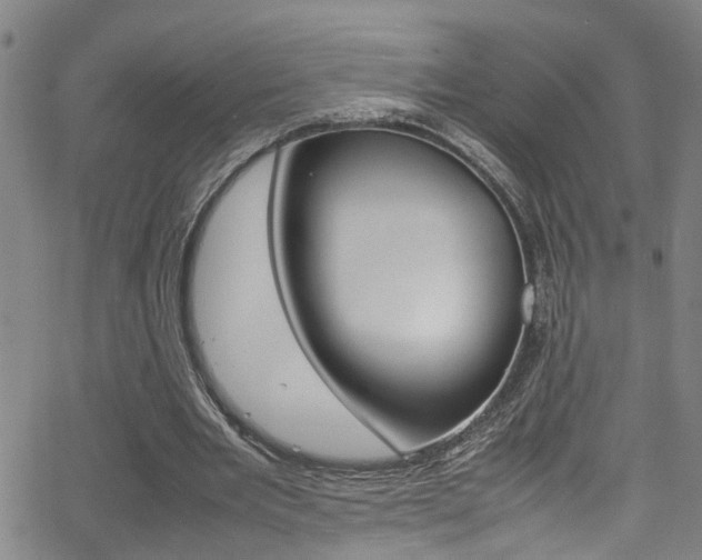 X0000065980485200603030934