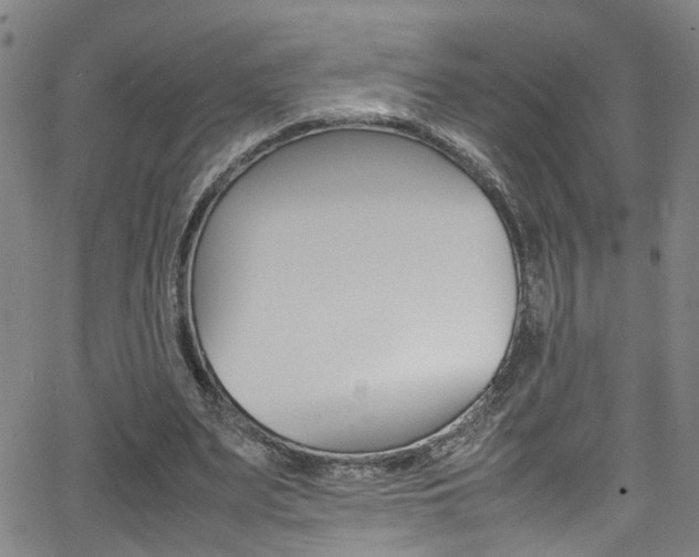 X0000065980487200603030934