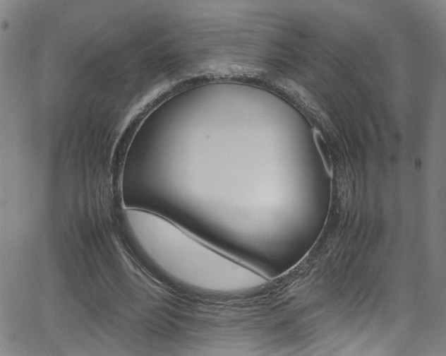 X0000065980488200603030934