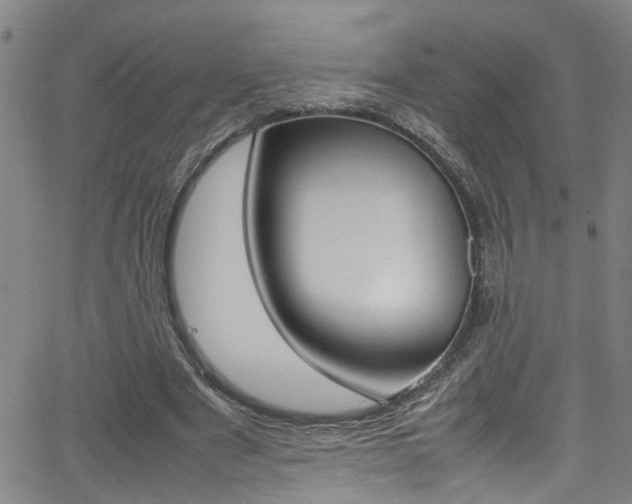 X0000065980489200603030934