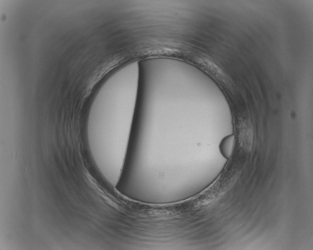 X0000065980490200603030934