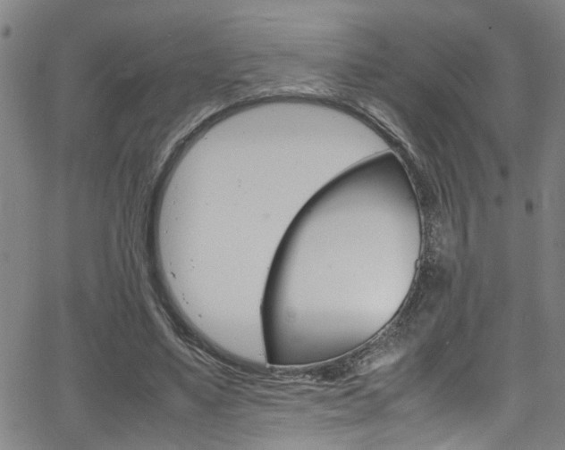 X0000065980491200603030934