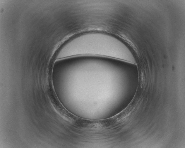 X0000065980492200603030934