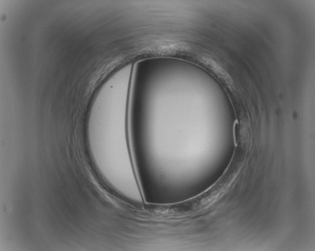 X0000065980493200603030934