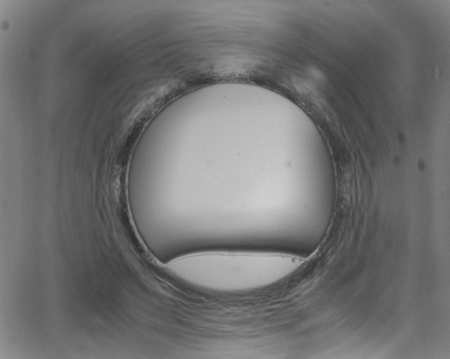 X0000065980495200603030934