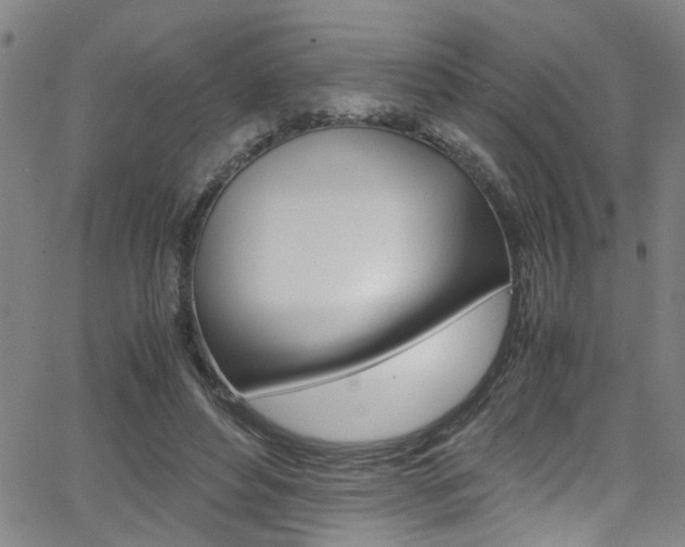 X0000065980496200603030934