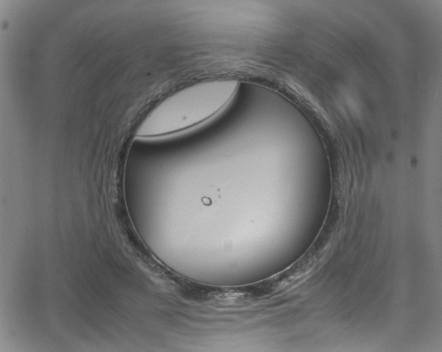 X0000065980497200603030934