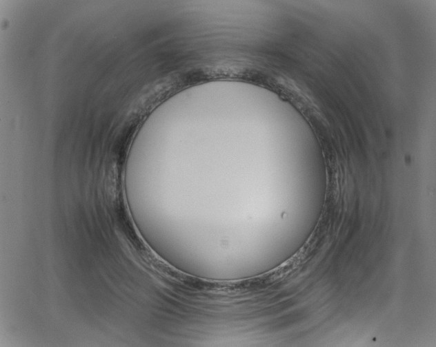 X0000065980498200603030934