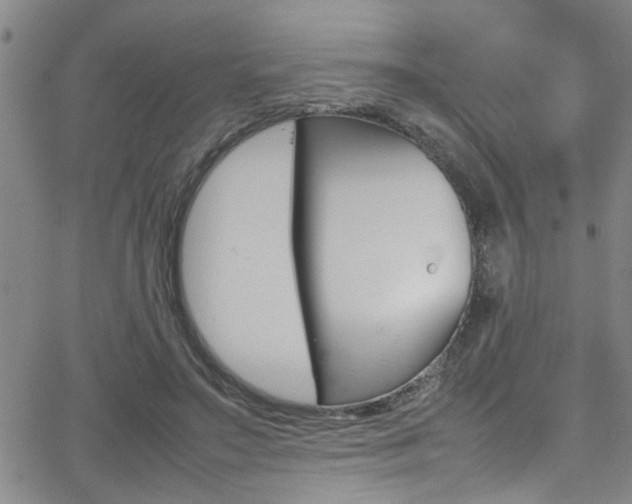 X0000065980499200603030934