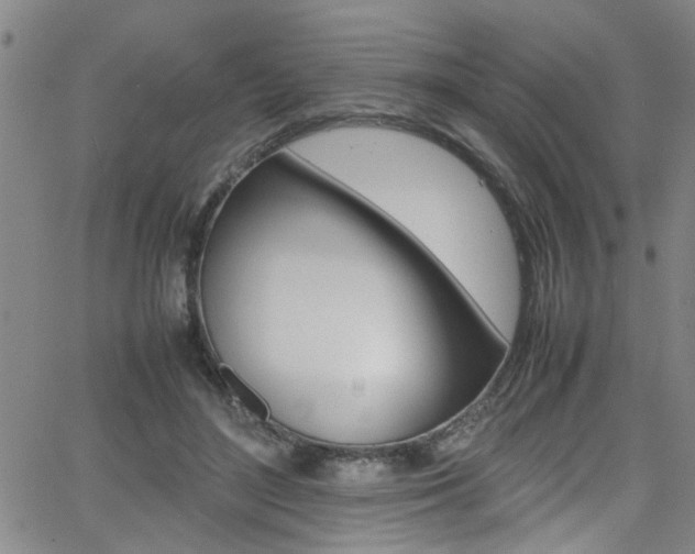 X0000065980500200603030934