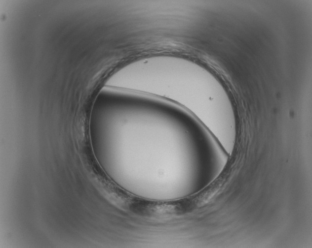 X0000065980501200603030934