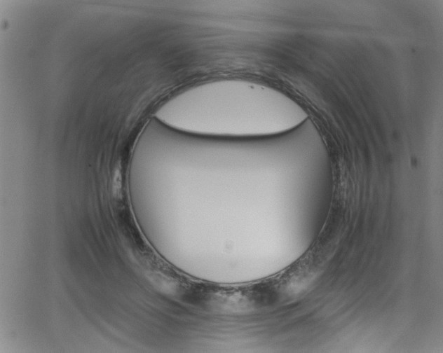 X0000065980502200603030933