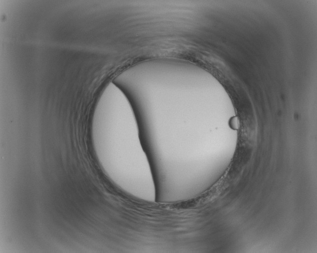 X0000065980503200603030933