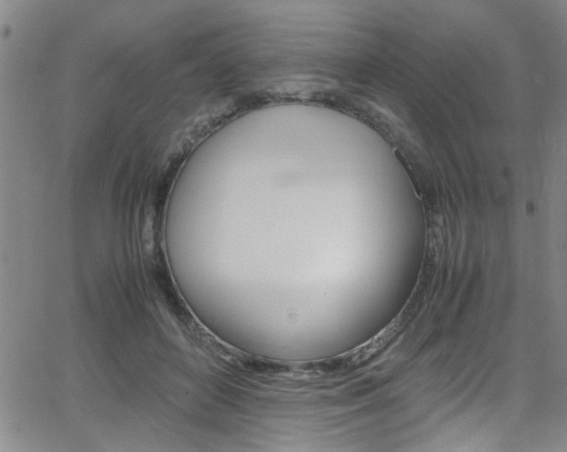 X0000065980504200603030933