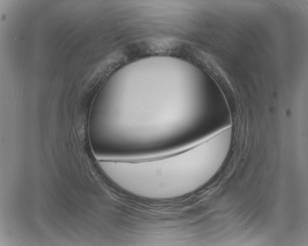 X0000065980505200603030933