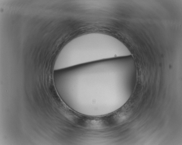 X0000065980506200603030933