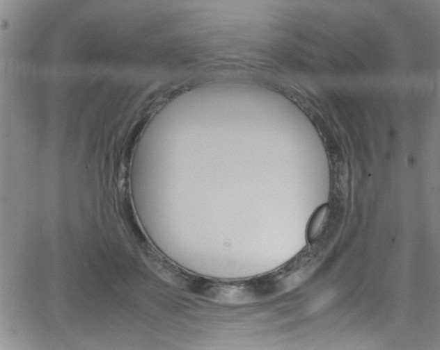 X0000065980507200603030933