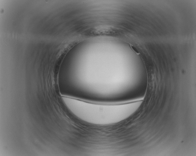 X0000065980508200603030933