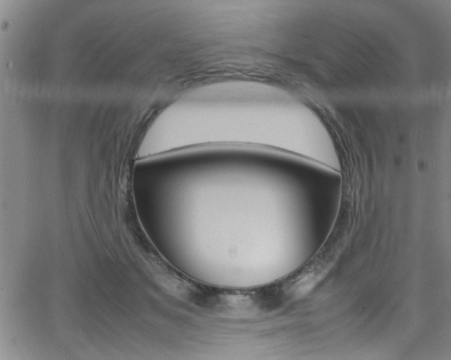 X0000065980509200603030933