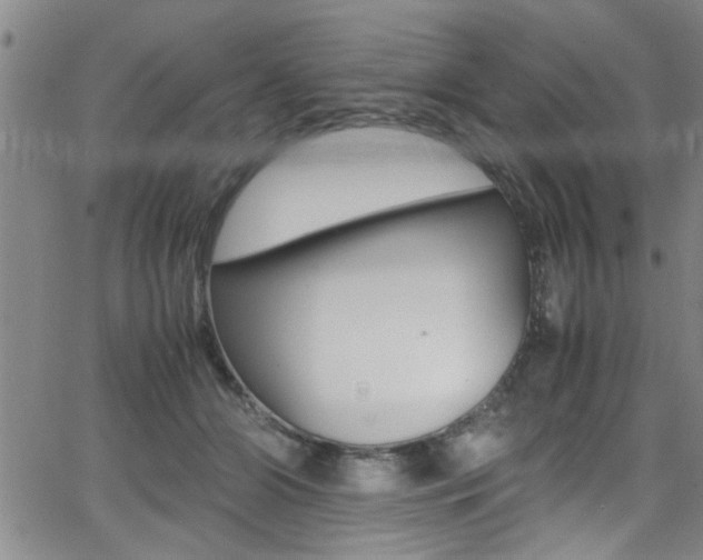 X0000065980510200603030933