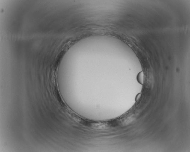 X0000065980511200603030933