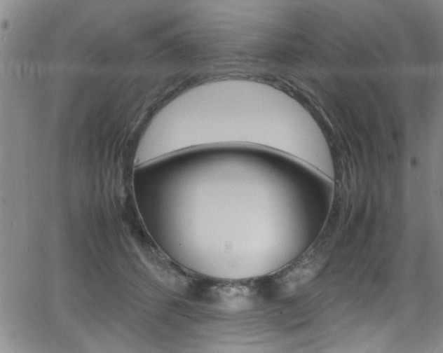 X0000065980512200603030933