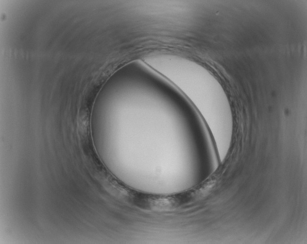 X0000065980513200603030933