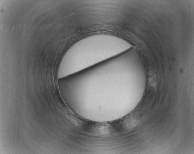 X0000065980514200603030933