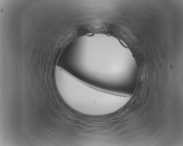 X0000065980515200603030933