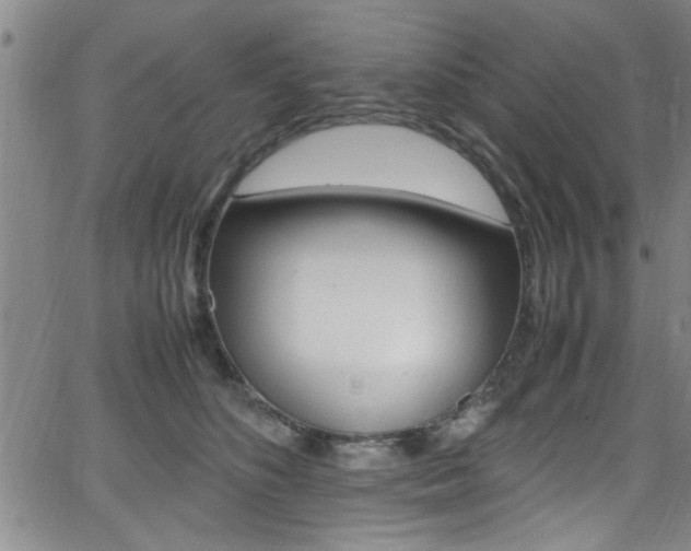 X0000065980516200603030933