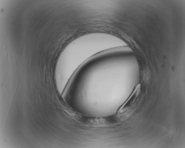 X0000065980517200603030933