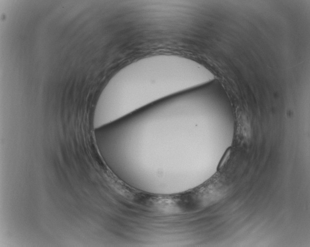 X0000065980518200603030933