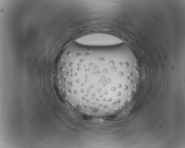 X0000065980519200603030933