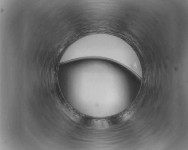 X0000065980520200603030933